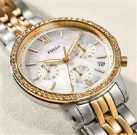 Montre Fossil Homme in Acier ES5216